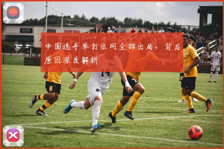 中国选手单打法网全部出局，背后原因深度解析